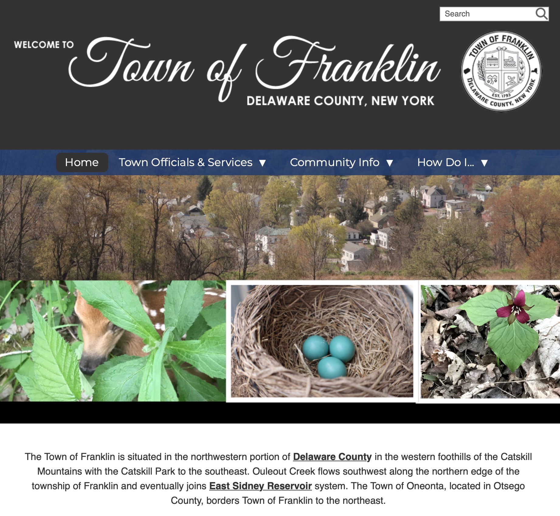 Official website of the Town of Franklin NY